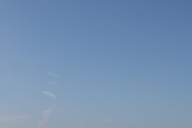 C39A8940
